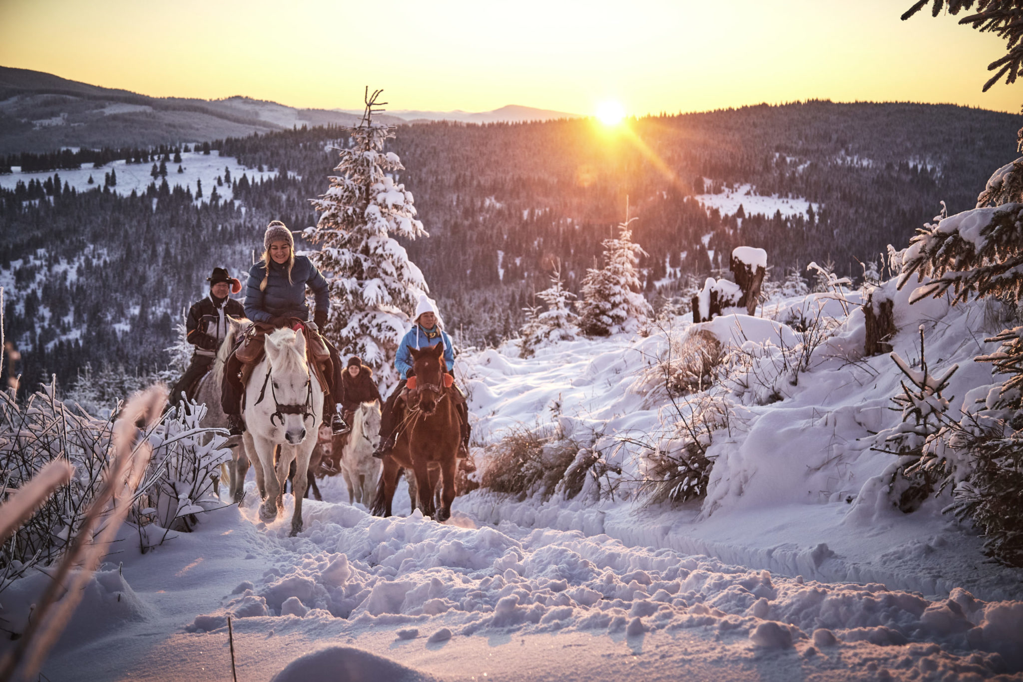 Winterritte Im Schnee Inmitten Der Rum nischen Karpaten